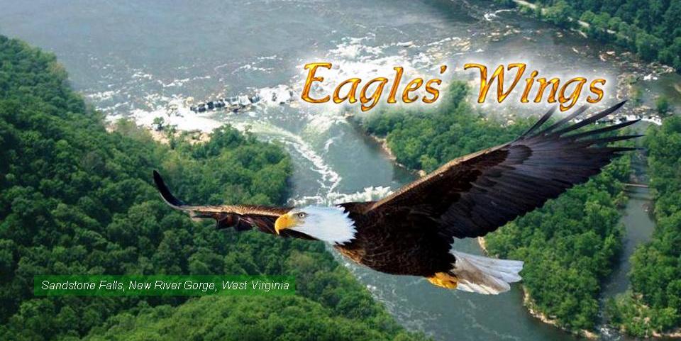 Eagle Over Sandstone Falls